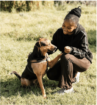 Animal-Assisted Interventions – What This Is and What We Practice